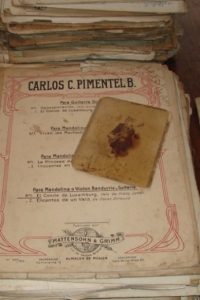 Documentación y Creación del Archivo Carlos Pimentel. Chile.